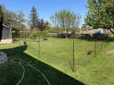Chicken fencing setup in a garden