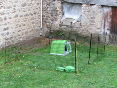 Omlet green Eglu Go plastic chicken coop and Omlet chicken fencing in the garden