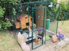 Wooden chicken coop in Omlet walk in chicken run in garden