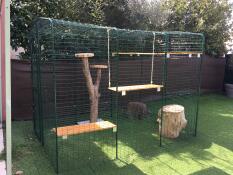An Omlet cat enclosure with lots of platforms installed.