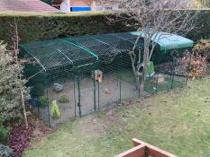 A large walk in run setup in a garden for chickens