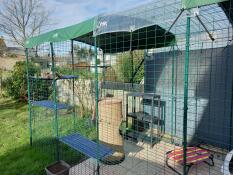 A cat relaxing on an outdoor shelf of his large catio