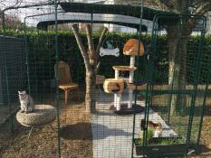 Cat enclosure