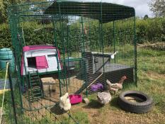 Omlet purple Eglu Cube large chicken coop inside Omlet walk in chicken run with chickens
