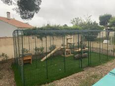 A large walk in run with lots of toys and accessories set up for a cat in a garden