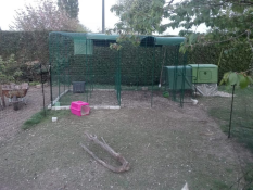 Omlet Eglu Cube large chicken coop and run connected to Omlet walk in chicken run