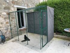 Our Omlet cat enclosure attached to our house.