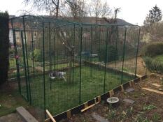 A large green walk in run set up in a garden for a cat