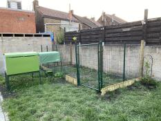 An Eglu installed by a large chicken run area.