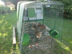 Omlet Eglu Cube large chicken coop and run