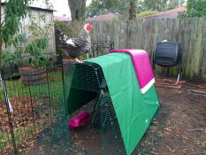 Heavy Duty Covers (1M and wind) on Eglu Go Up Run