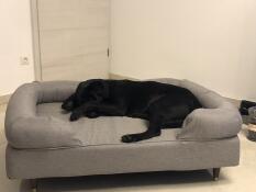 Milo loves his new bed. since we Got it, he only lies there. now ordering a second one for the bedroom 