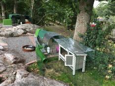 An Eglu rabbit hutch connected to a wooden hutch using the Zippi rabbit tunnel.