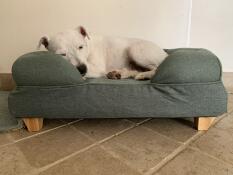 A dog relaxing on a green dog bed.