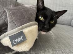 Omlet fan boy