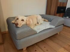 Topology memory foam dog bed large