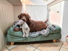 Rosie in her new bed with bab…..