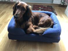 A dog in a small blue bolster bed