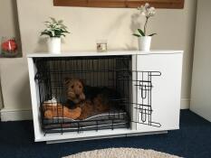 A brown and black dog in a Fido Nook with a wardrobe attached