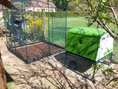 Large hen house Eglu Cube and large pen for chickens