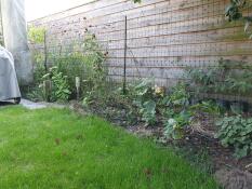 An Omlet fence in a garden