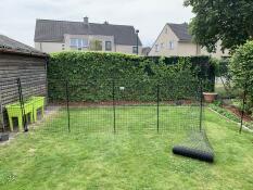 Omlet chicken fencing being setup in the garden.