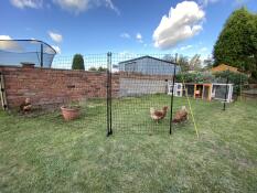 12m chicken netting with wall connection kit