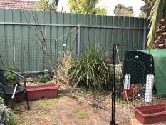 Omlet chicken fencing in garden