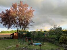 Omlet outdoor catio in the garden