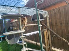 Outdoor scratching post