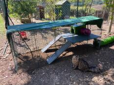 Zippi rabbit run with Zippi platforms and shelter