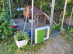 Automatic door for chicken house