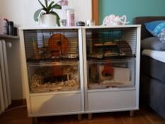 Two white Omlet Qute hamster cages