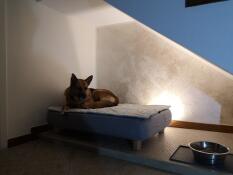 A dog relaxing on his grey bed with quilted topper