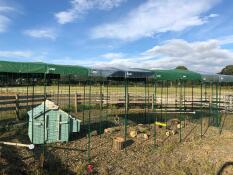 A 7 meter long large chicken run