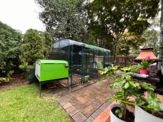 Chicken run w divider and 2 coops