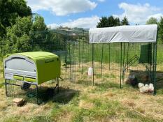 A green coop connected to the side of a large walk-in run