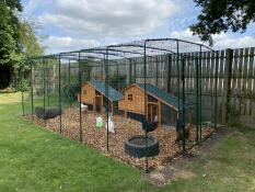 Large walk-in run with two chicken wooden coops inside