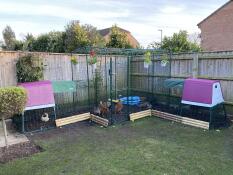 Our ultimate chicken run! 