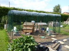 Roof on, wood chip down,sun shining  = very happy chickens 