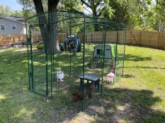 run setup with cube in back yard