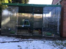 The return of the beast from the east isn't stopping these rescue chickens from having fun ! 