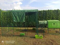 A chicken coop connected to a large walk-in run