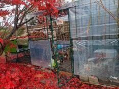 Autumn atmosphere, it's nice and cozy in our aviary 