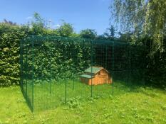 Wooden chicken coop inside Omlet walk in chicken run