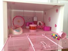 Lillies new pink cage