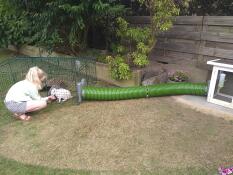 Safe run. our rabbits love to hop around in it! handy that you can easily connect the tunnel to it.