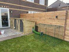 Attached the tunnel and run to our beautiful wooden hutch!