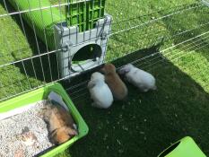 They are loving it