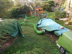 Bunny village